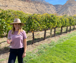 Palisades Colorado Wine Country